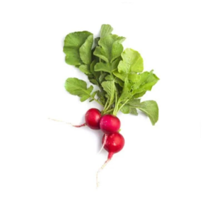 Baby Radish Red(Netherlands)(125gms)
