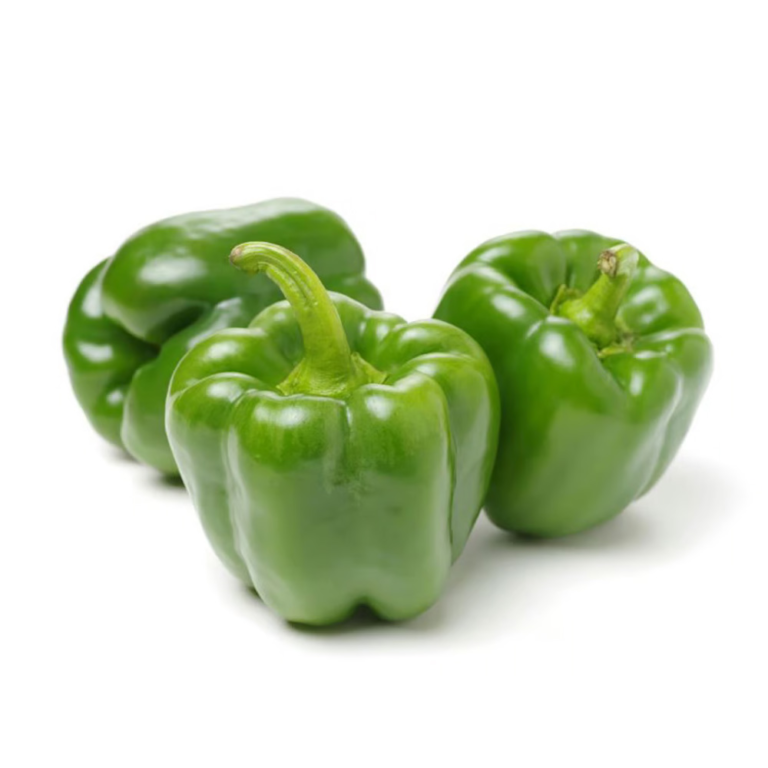 Capsicum Green Long(Jordan)(500gm)