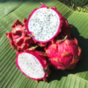 DragonFruit White (Thailand)~400gm/piece
