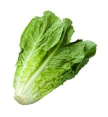 Lettuce Romaine(Lebanon)(500gms)