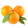 Orange Valencia (Lebanon)(500gms)