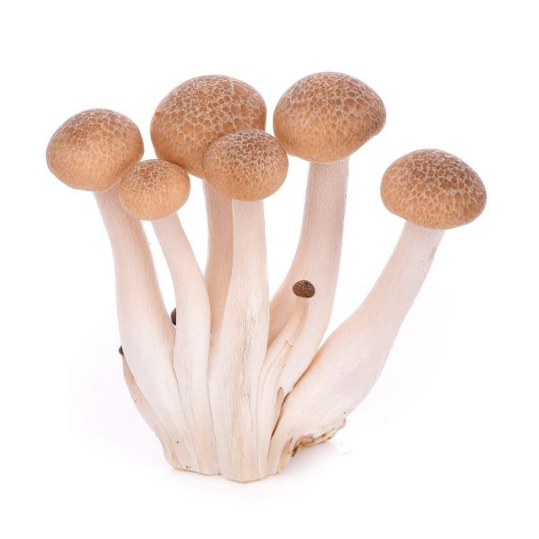 Shimeji Mushroom Brown(China)(150gms)