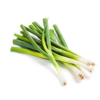Spring Onion(UAE)(1 pack)
