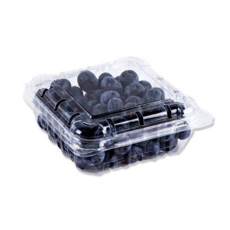 Blueberries Africa 125 gr per pack
