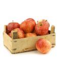 Royal Gala Apples (10 kg per pack)