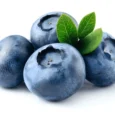 Elite Berry Blueberries (500 gr per pack)