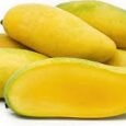 Mangoes Samaka Yemen ( 500 gm )