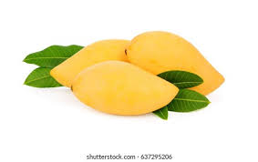 Mangoes Yellow Thailand (500 gm )