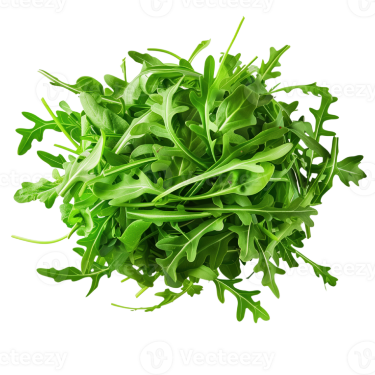 green-arugula-leaves-on-transparent-background-perfect-for-salads-and-cooking-png