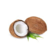 Coconut Dry India 1pc