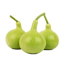 Bottle Gourd Pakistan 1kg
