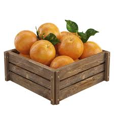 Oranges Valencia Lebanon in a Box(10 kg per pack)