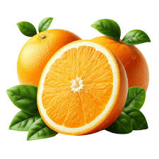 Organic & Bio Oranges India(450 gr per pack)