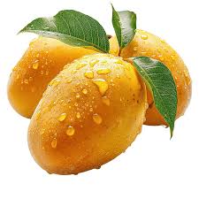 Mangoes Alphonso(500gr)