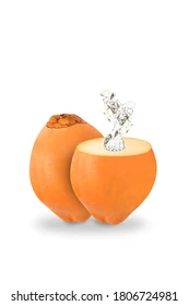 Fresh King Coconut India (1 pcs)