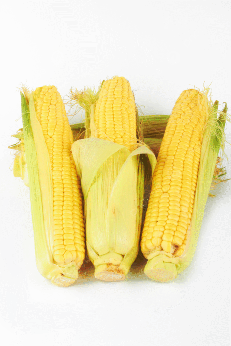 Organic & Bio Sweet Corns Lebanon(550 gr per pack)