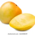 Mangoes R2E2 Thailand ( 500 gm )